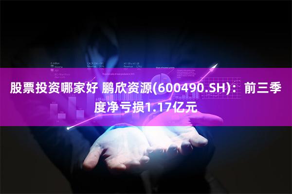 股票投资哪家好 鹏欣资源(600490.SH)：前三季度净亏损1.17亿元