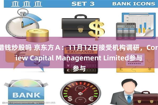 能借钱炒股吗 京东方Ａ：11月12日接受机构调研，CoreView Capital Management Limited参与