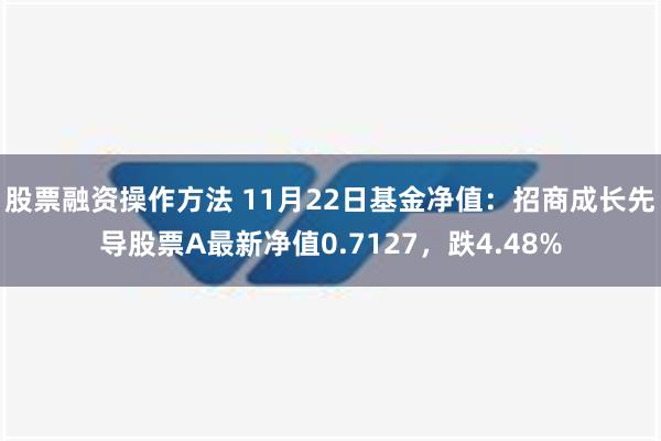 股票融资操作方法 11月22日基金净值：招商成长先导股票A最新净值0.7127，跌4.48%