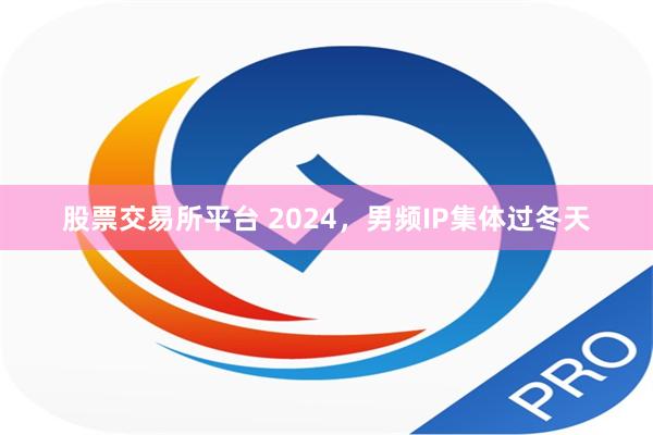 股票交易所平台 2024，男频IP集体过冬天